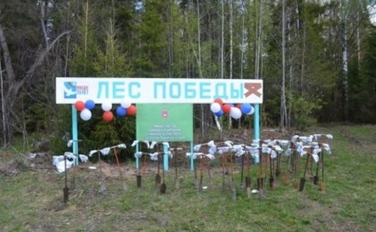 Пермский край стал призером специального проекта «Лес Победы»